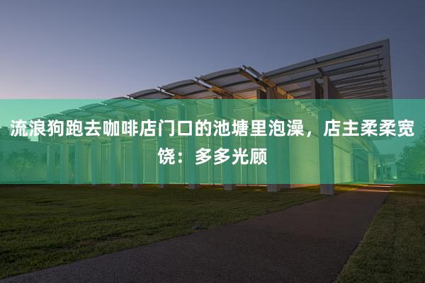 流浪狗跑去咖啡店门口的池塘里泡澡，店主柔柔宽饶：多多光顾