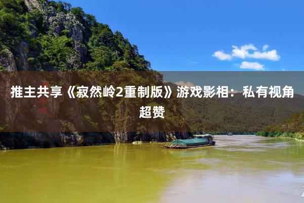 推主共享《寂然岭2重制版》游戏影相：私有视角超赞
