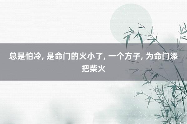 总是怕冷, 是命门的火小了, 一个方子, 为命门添把柴火