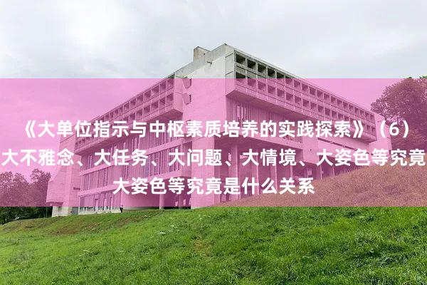《大单位指示与中枢素质培养的实践探索》（6）：大单位与大不雅念、大任务、大问题、大情境、大姿色等究竟是什么关系