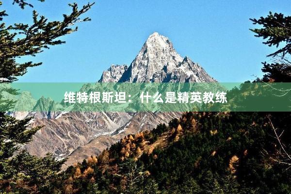 维特根斯坦：什么是精英教练